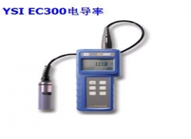 YSI EC300型鹽度、電導(dǎo)和溫度測量儀