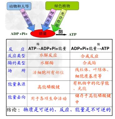 ATP熒光儀